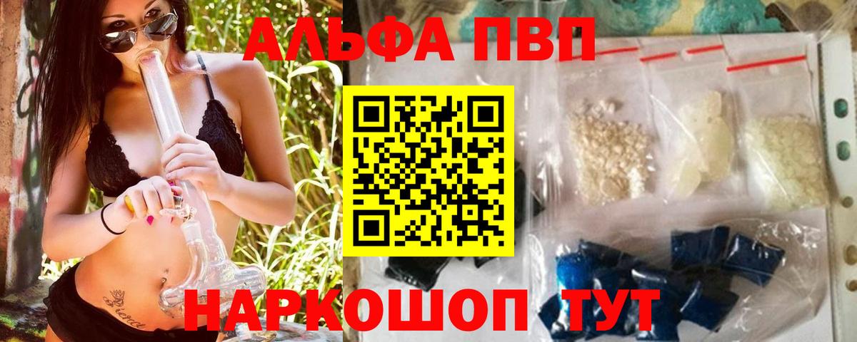 A PVP СК Гагарин