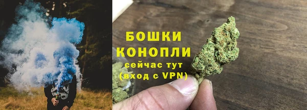 МДПВ Нефтегорск