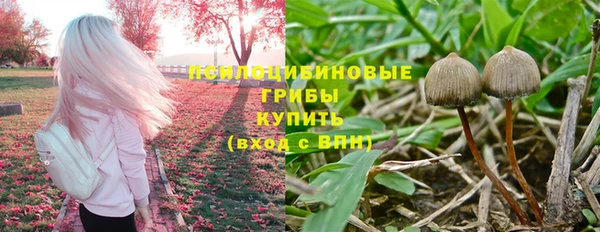 ПСИЛОЦИБИНОВЫЕ ГРИБЫ Нея