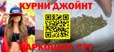 spice Гай
