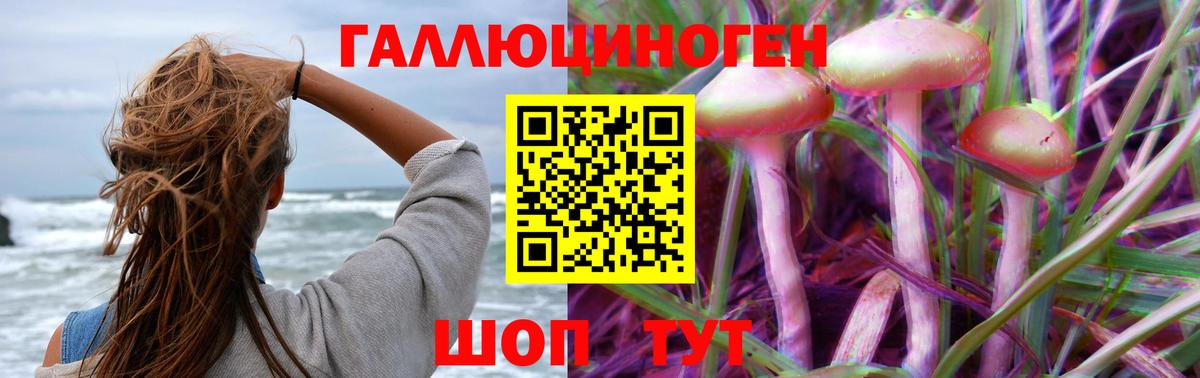 Псилоцибиновые грибы GOLDEN TEACHER Гагарин
