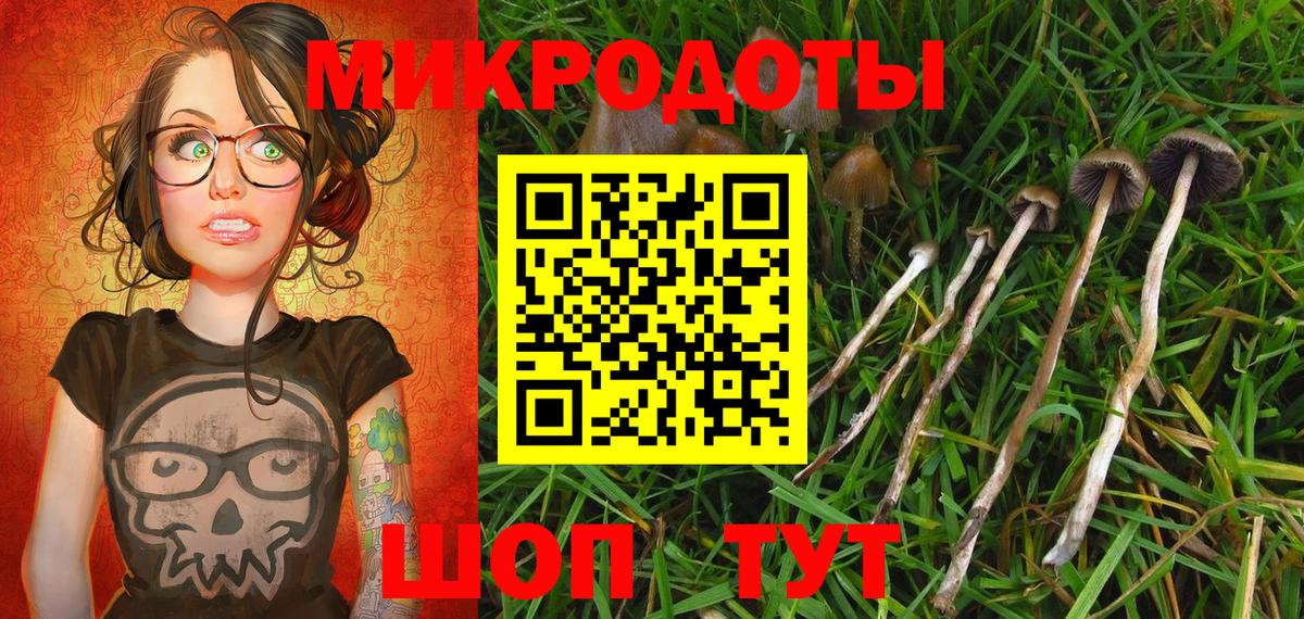 Гагарин  купить наркотик  Галлюциногенные грибы Cubensis  Вход с VPN  Галлюциногенные грибы Magic Shrooms 
