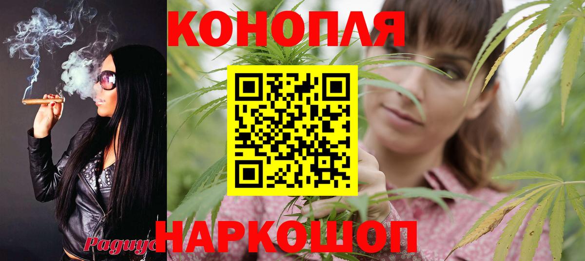 Шишки марихуана семена Гагарин